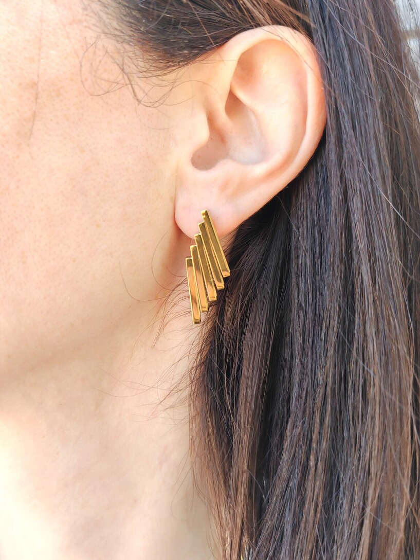 Bars earrings