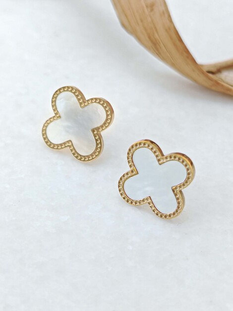 Van white stainless steel earrings