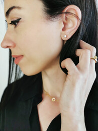 Zirgon stainless steel earrings