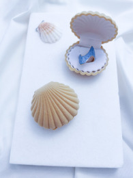 Sand velvet shell case