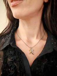 Rock star necklace