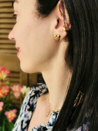 Hearts stainless steel earrings