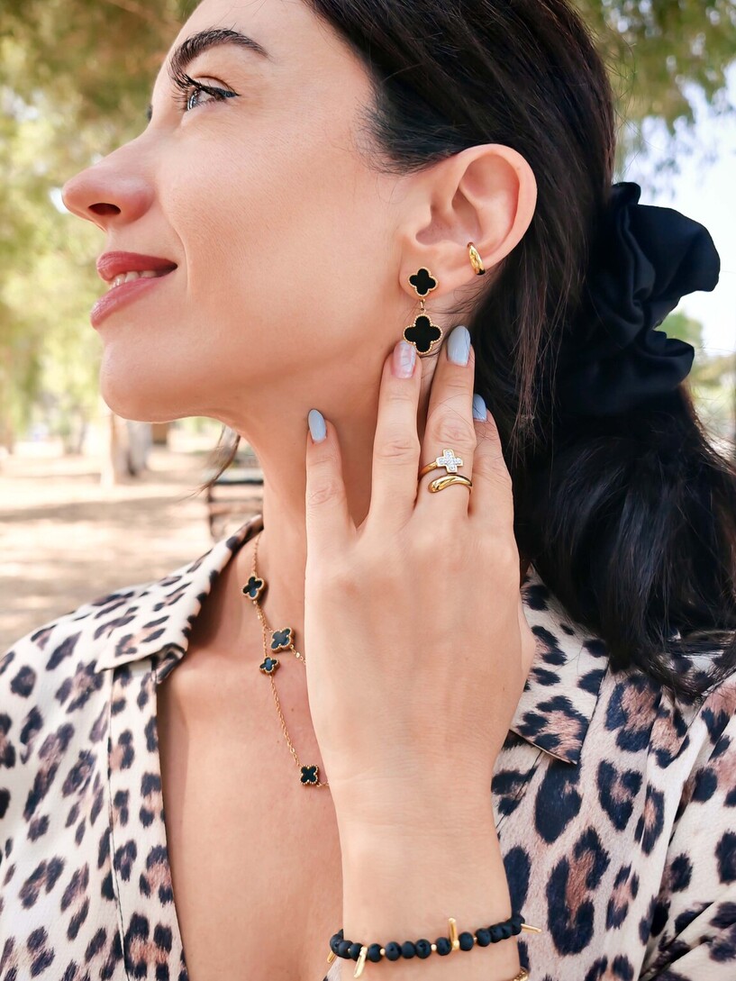 Van black stainless steel earrings