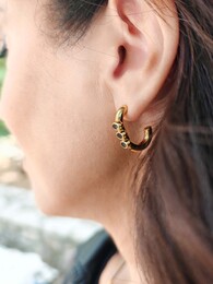 Invierno earrings 