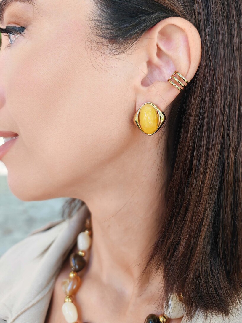 Dison earrings 