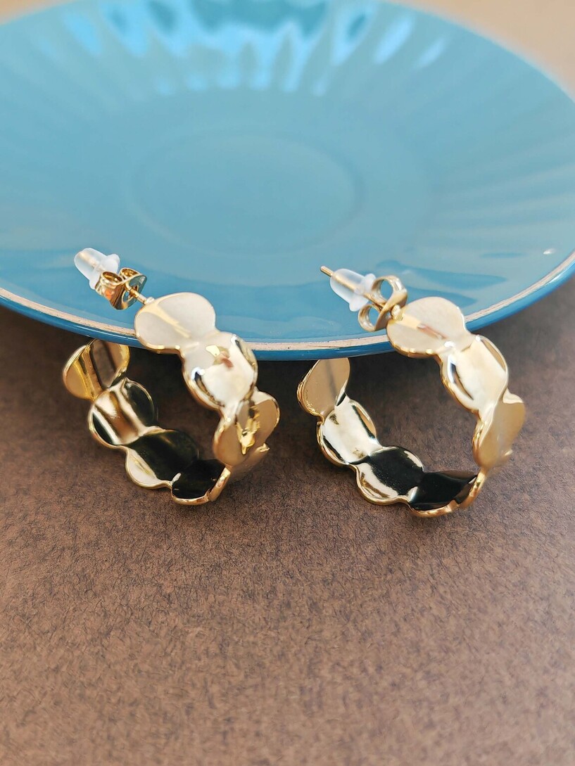 Hoopies earrings 