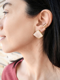 Salmon stainless steel earrings