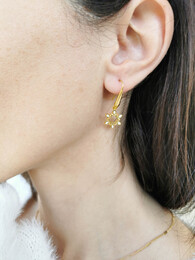 Snowflakes earrings