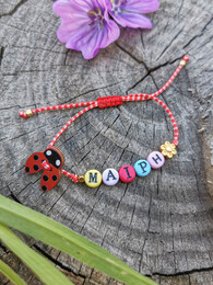 Ladybug custom martaki