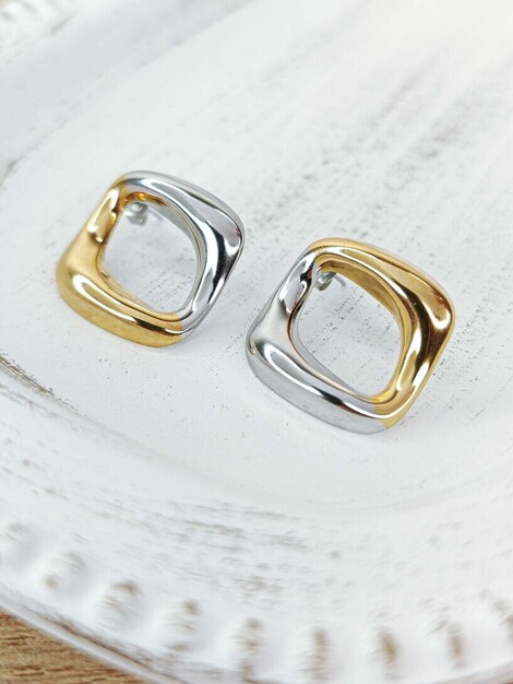 Duet stainless steel earrings