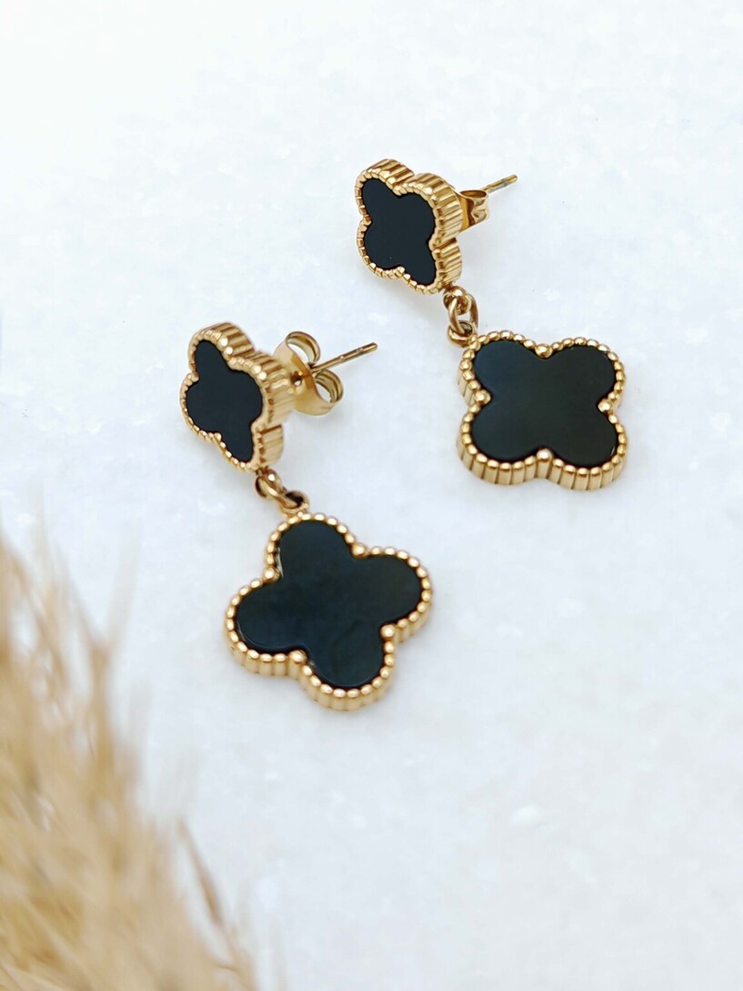 Van black stainless steel earrings