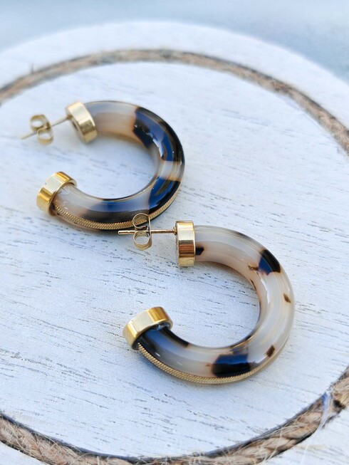 Leo stainless steel earrings