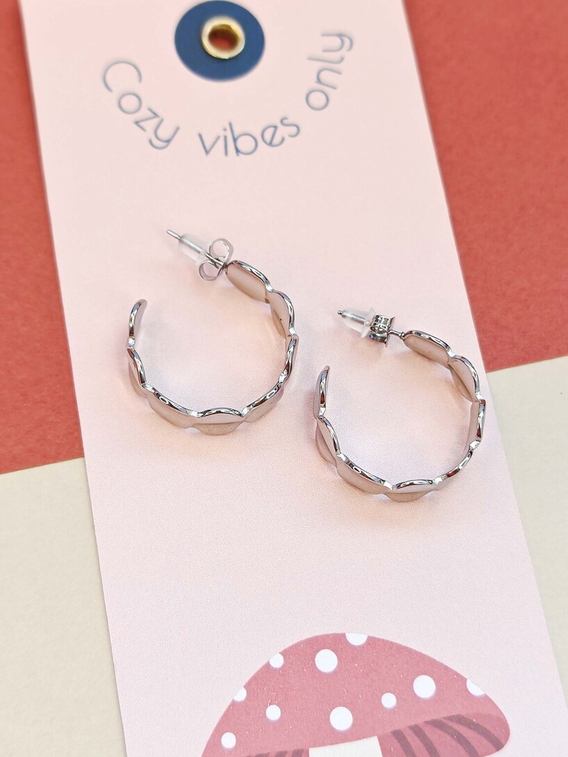 Hoopies earrings 