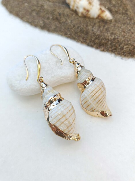 Shells earrings 