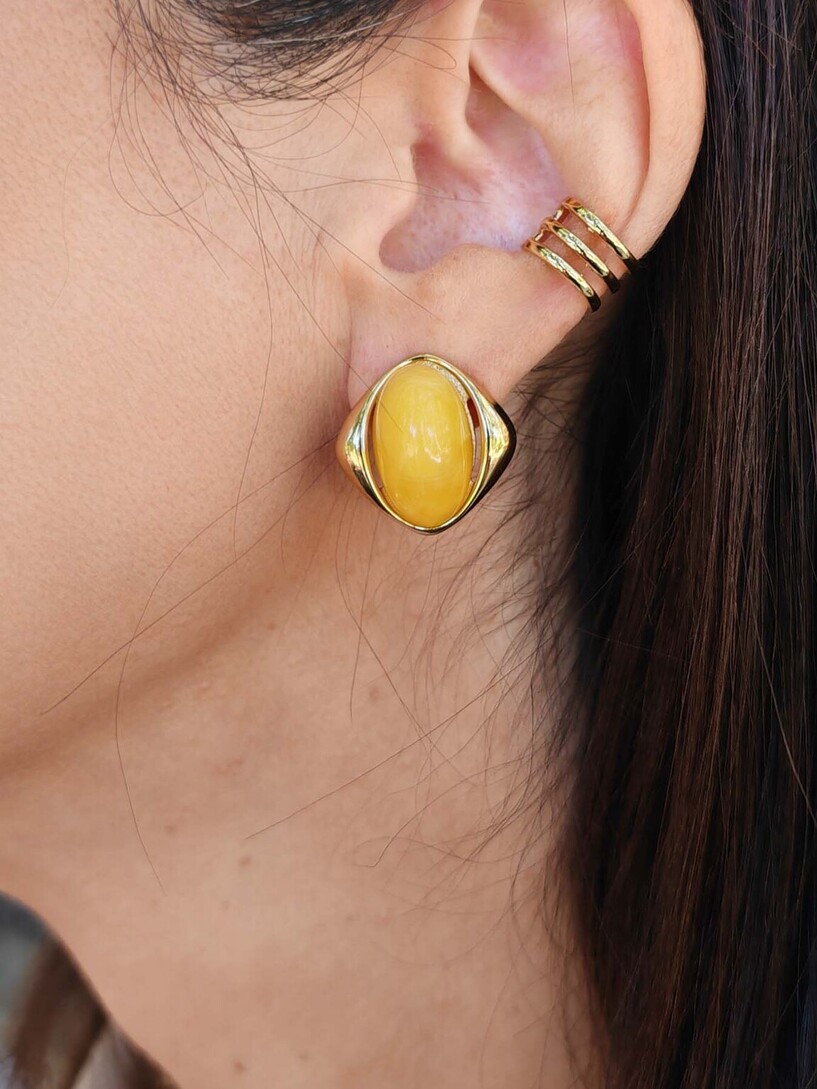 Dison earrings 