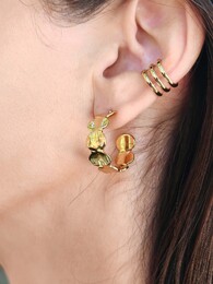 Hoopies earrings 