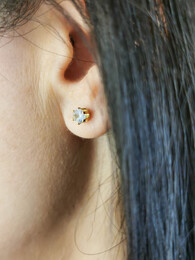 Zirgon stainless steel earrings