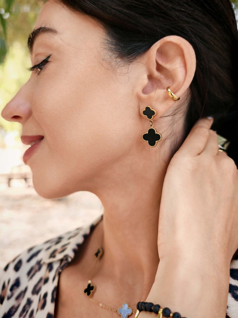 Van black stainless steel earrings