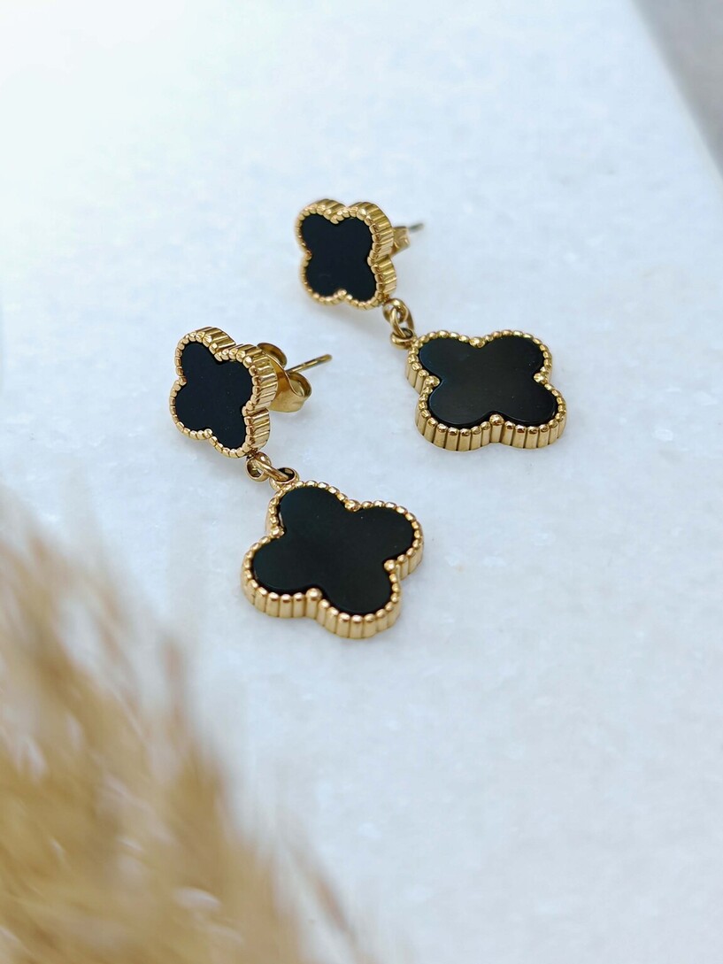 Van black stainless steel earrings