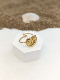 Shell ring