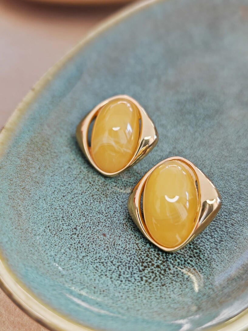 Dison earrings 