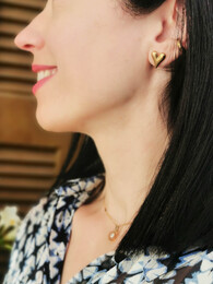 Hearts stainless steel earrings