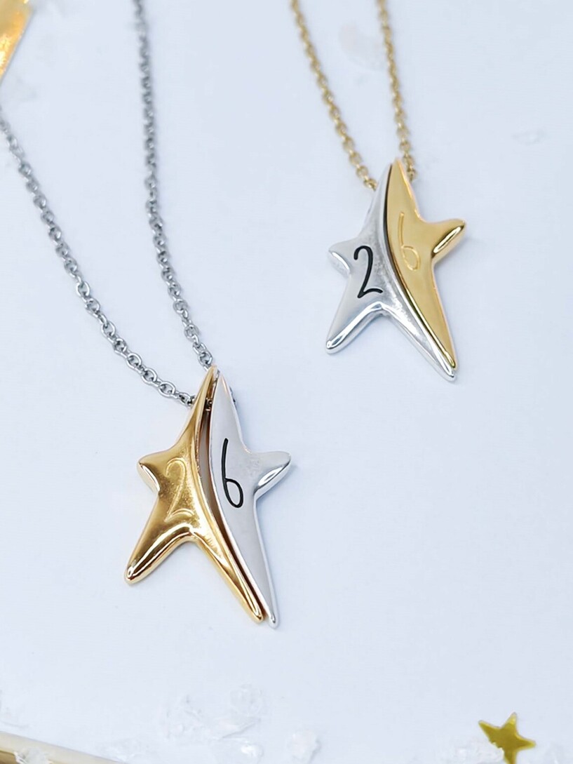 Rock star necklace
