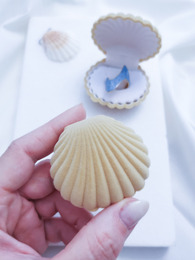 Sand velvet shell case