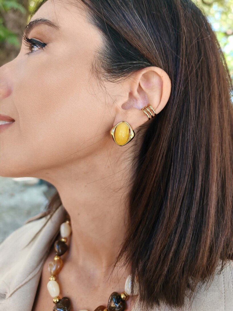 Dison earrings 