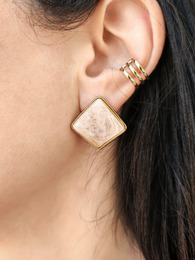 Salmon stainless steel earrings