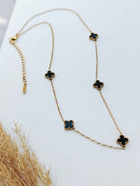 Van small stainless steel necklace