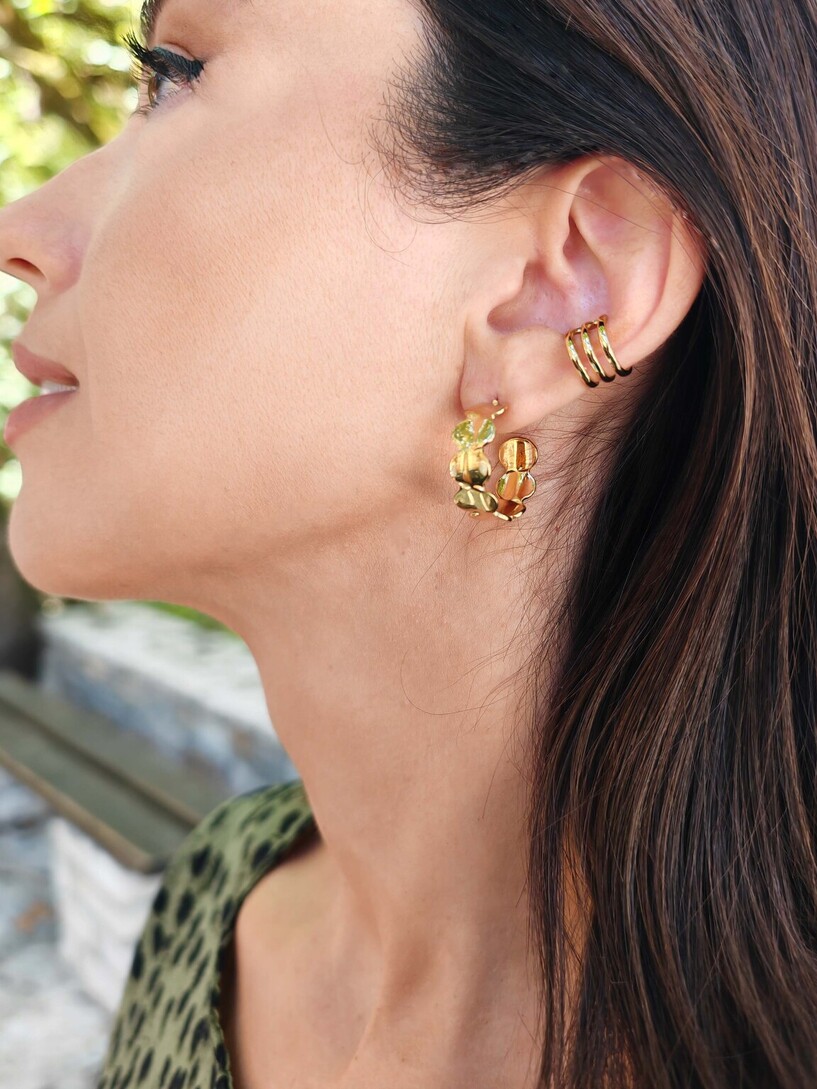 Hoopies earrings 