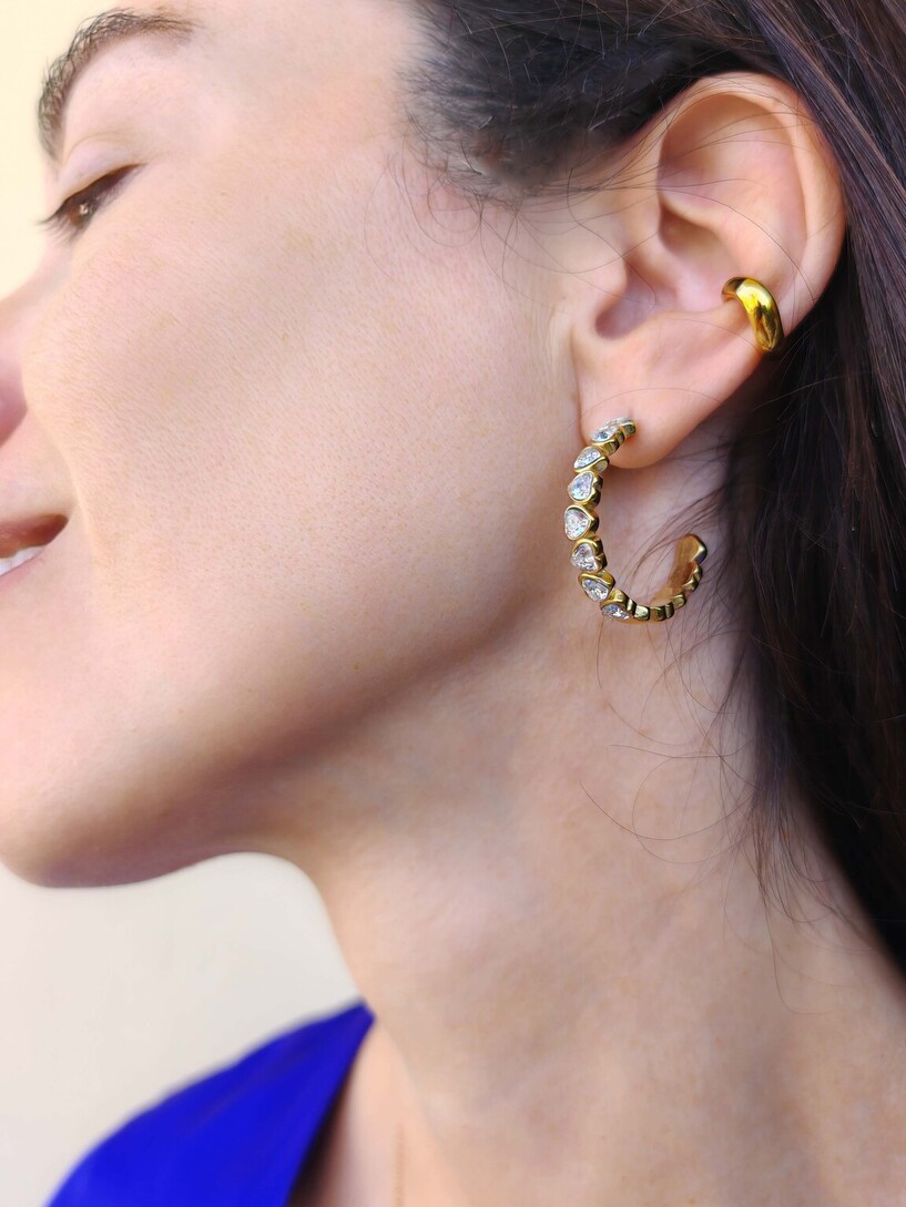 Hearts earrings