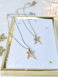 Rock star necklace