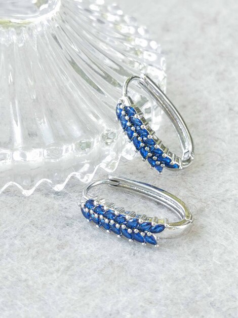 Royal Blue stainless steel earrings