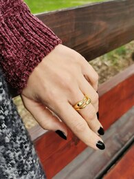 Bamboo stainless steel ring