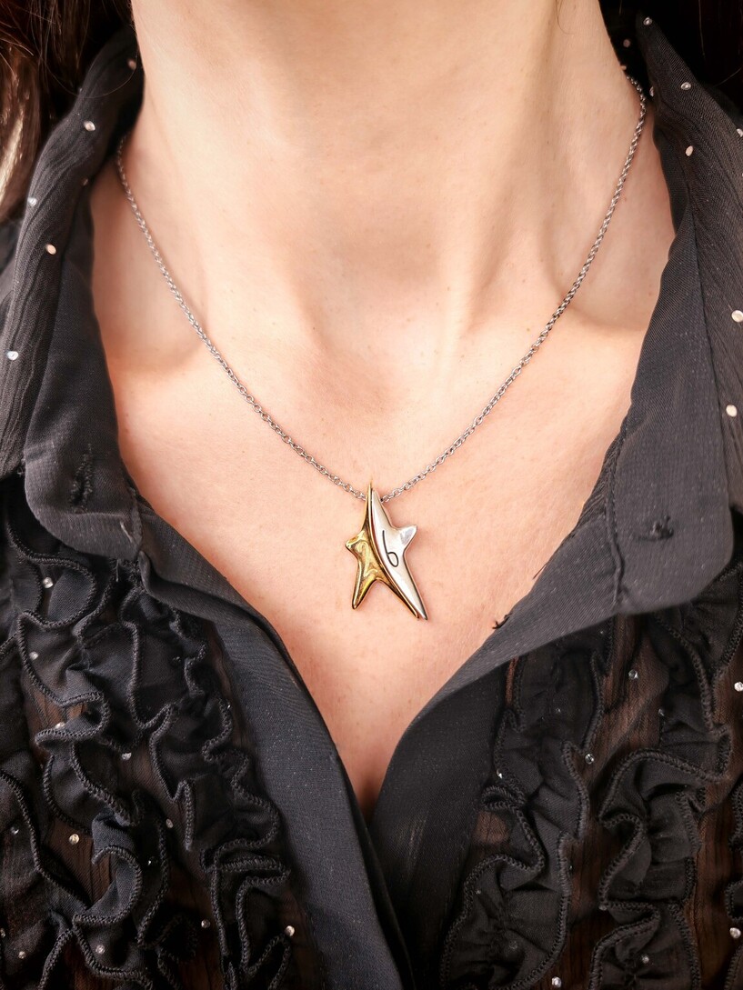 Rock star necklace