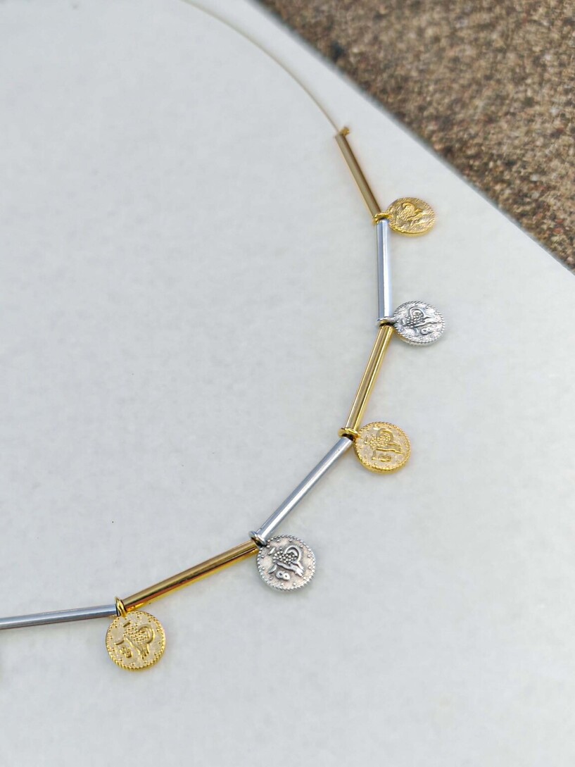 Coins necklace