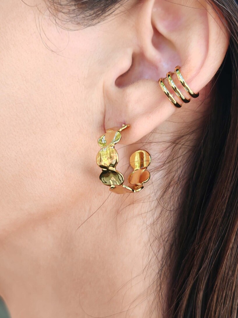 Hoopies earrings 