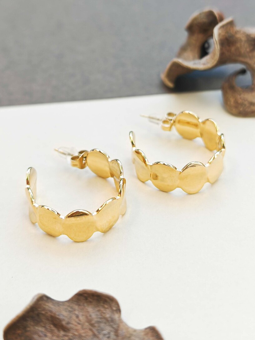 Hoopies earrings 