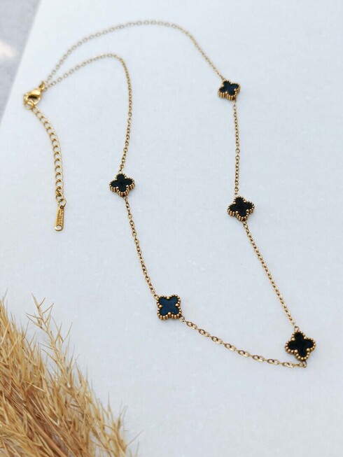 Van small stainless steel necklace